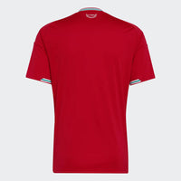 Maillot Galles Home 26/27