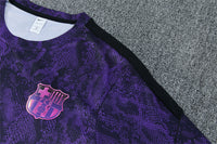 Maillot et short d'entraînement Barcelona 26/27