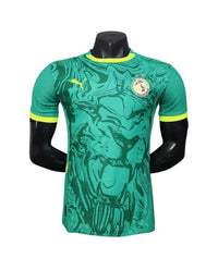 Maillot Senegal Away 25/26 Version Joueur