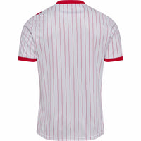 Maillot Danemark Away 26/27
