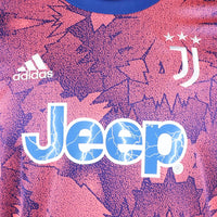 Maillot du Juventus II 22/23