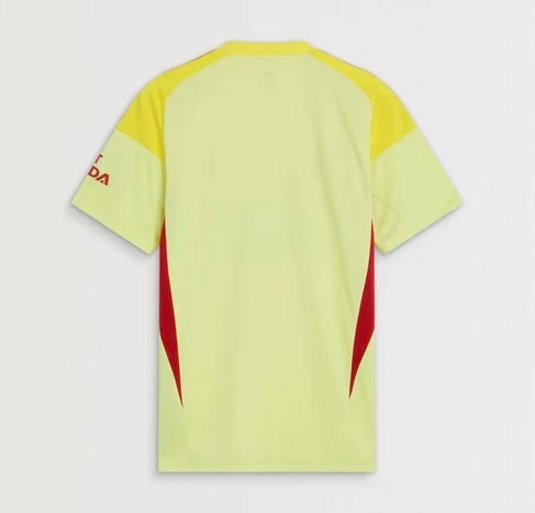 Maillot Arsenal Gardien de but 25/26