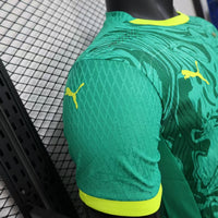 Maillot Senegal Away 25/26 Version Joueur