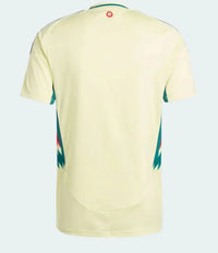 Maillots de football Gallois 24/25